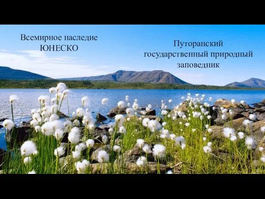 Всемирное наследие ЮНЕСКО Путоранский государственный природный заповедник