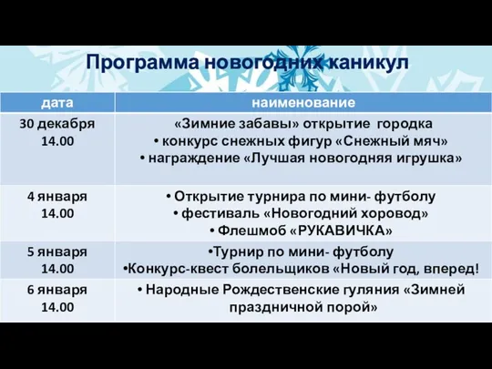 Программа новогодних каникул