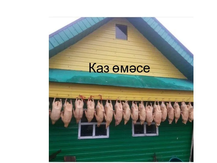 Каз өмәсе