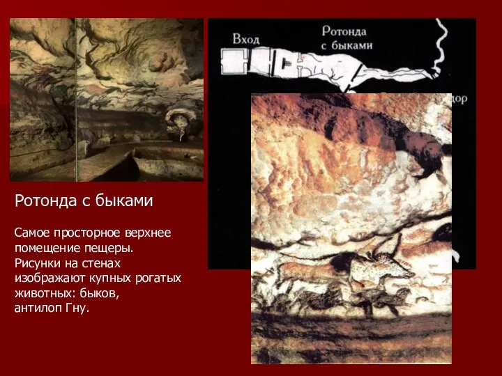 Ротонда с быками Самое просторное верхнее помещение пещеры. Рисунки на стенах