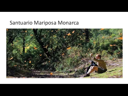 Santuario Mariposa Monarca