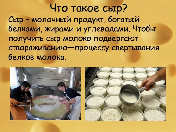 Что такое сыр? Сыр – молочный продукт, богатый белками, жирами и