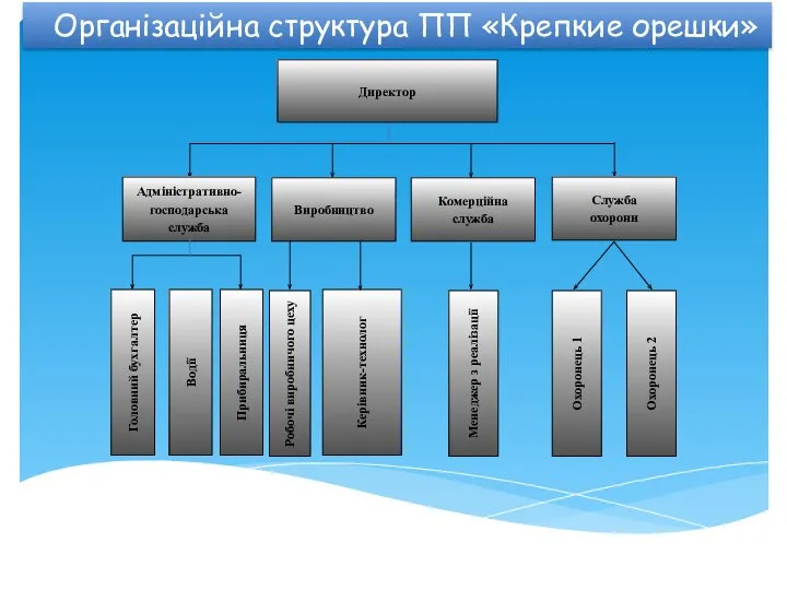 Організаційна структура ПП «Крепкие орешки»