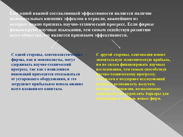 Еще одной важной составляющей эффективности является наличие положительных внешних эффектов в