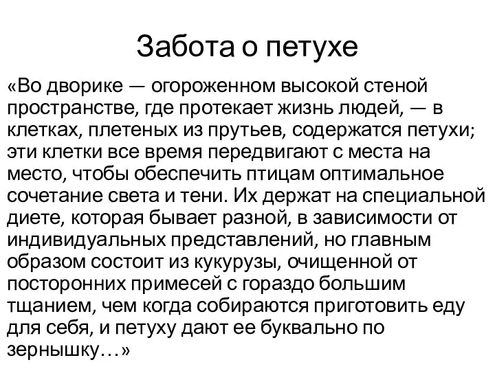 Забота о петухе «Во дворике — огороженном высокой стеной пространстве, где