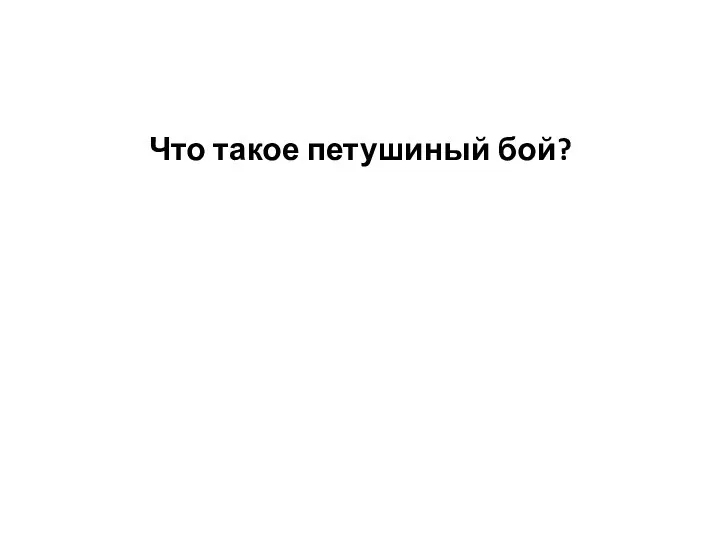 Что такое петушиный бой?