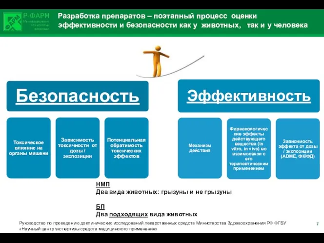 Разработка препаратов – поэтапный процесс оценки эффективности и безопасности как у