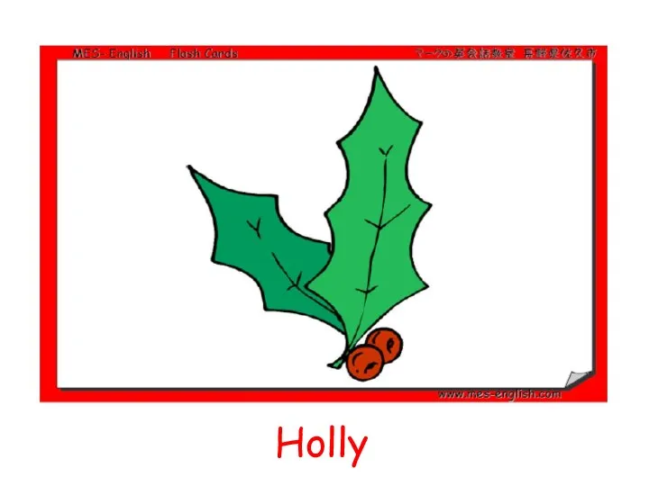 Holly