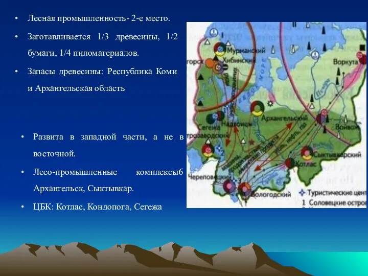 Лесная промышленность- 2-е место. Заготавливается 1/3 древесины, 1/2 бумаги, 1/4 пиломатериалов.