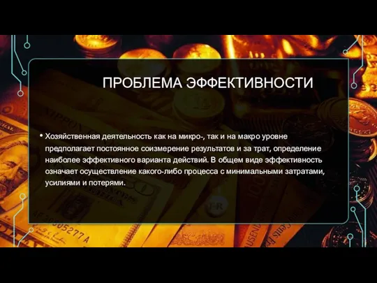 ПРОБЛЕМА ЭФФЕКТИВНОСТИ Хозяйственная деятельность как на микро-, так и на макро