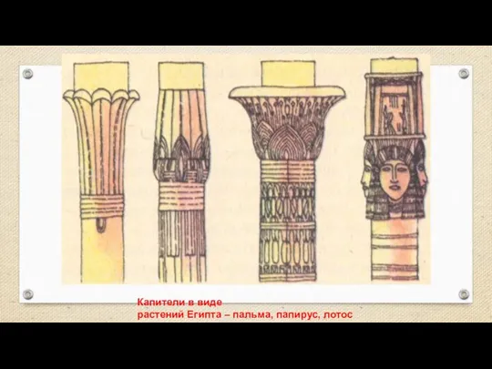 Капители в виде растений Египта – пальма, папирус, лотос