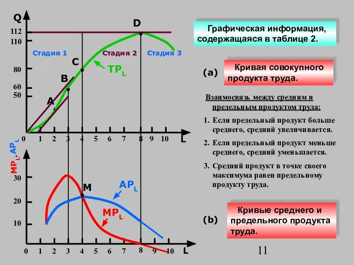 (b) APL Q L Кривые среднего и предельного продукта труда. 50