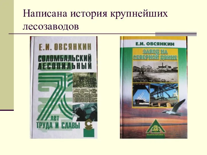 Написана история крупнейших лесозаводов