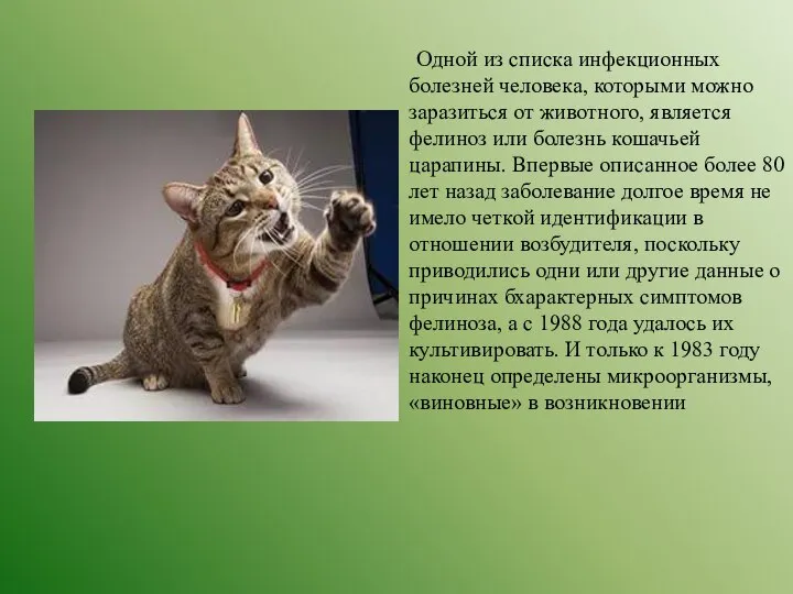 Одной из списка инфекционных болезней человека, которыми можно заразиться от животного,