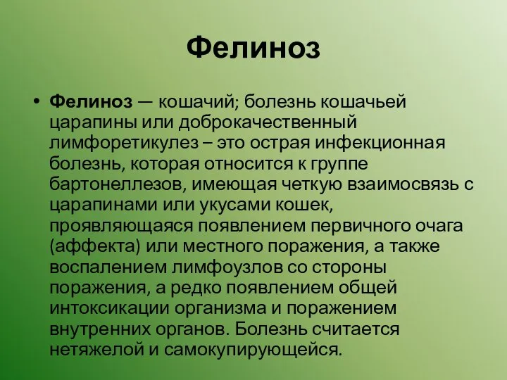 Фелиноз Фелиноз — кошачий; болезнь кошачьей царапины или доброкачественный лимфоретикулез –