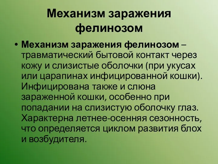 Механизм заражения фелинозом Механизм заражения фелинозом – травматический бытовой контакт через