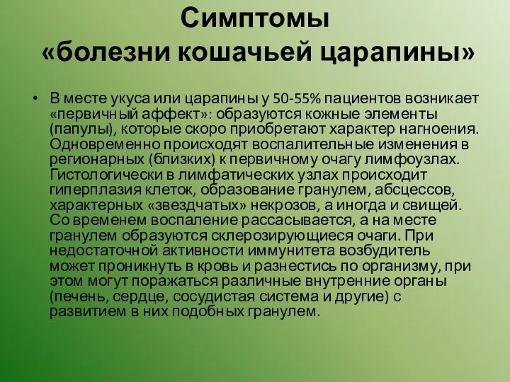 Симптомы «болезни кошачьей царапины» В месте укуса или царапины у 50-55%