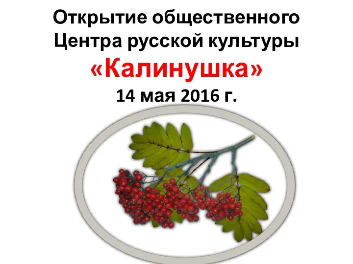 Открытие общественного Центра русской культуры «Калинушка» 14 мая 2016 г.