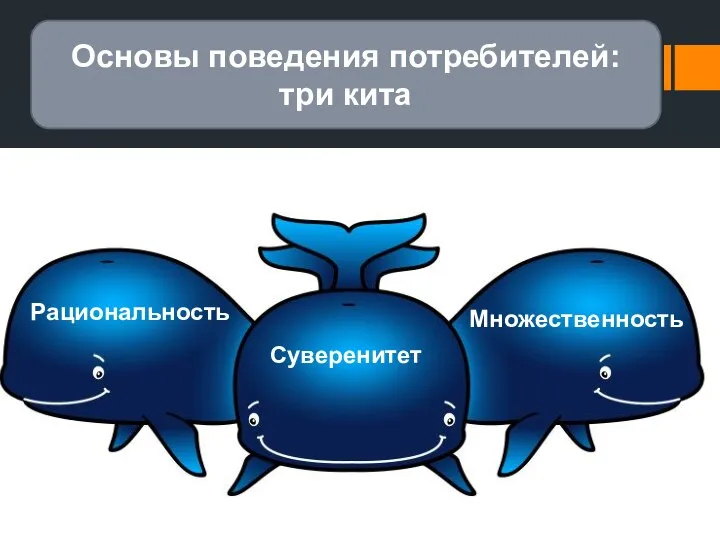 Основы поведения потребителей: три кита Рациональность Суверенитет Множественность