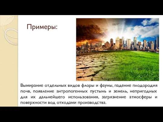 Примеры: Вымирание отдельных видов флоры и фауны, падение плодородия почв, появление