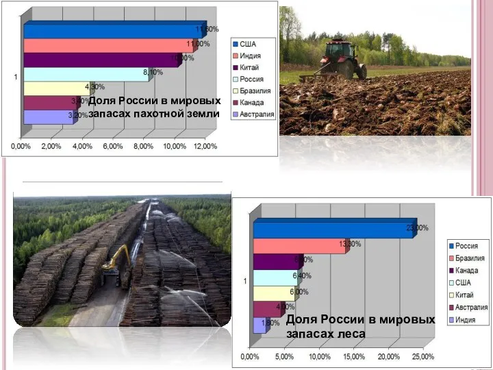 Доля России в мировых запасах пахотной земли Доля России в мировых запасах леса