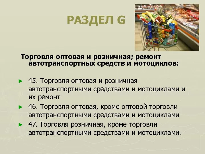 РАЗДЕЛ G Торговля оптовая и розничная; ремонт автотранспортных средств и мотоциклов: