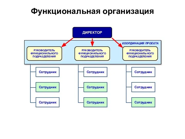 Функциональная организация