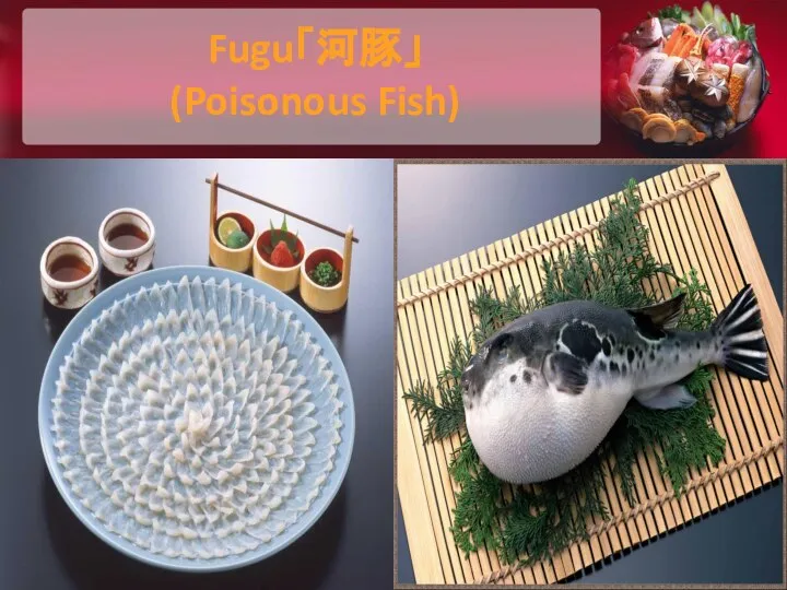 Fugu「河豚」 (Poisonous Fish)