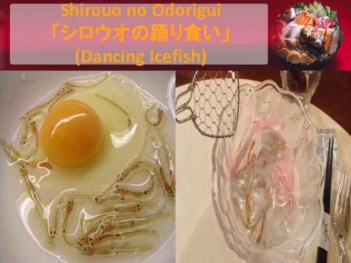 Shirouo no Odorigui 「シロウオの踊り食い」 (Dancing Icefish)