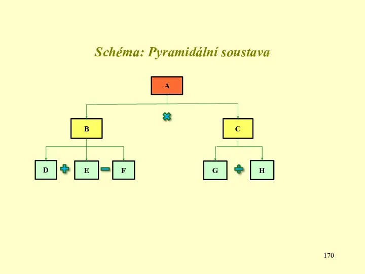 Schéma: Pyramidální soustava A B C E D F G H