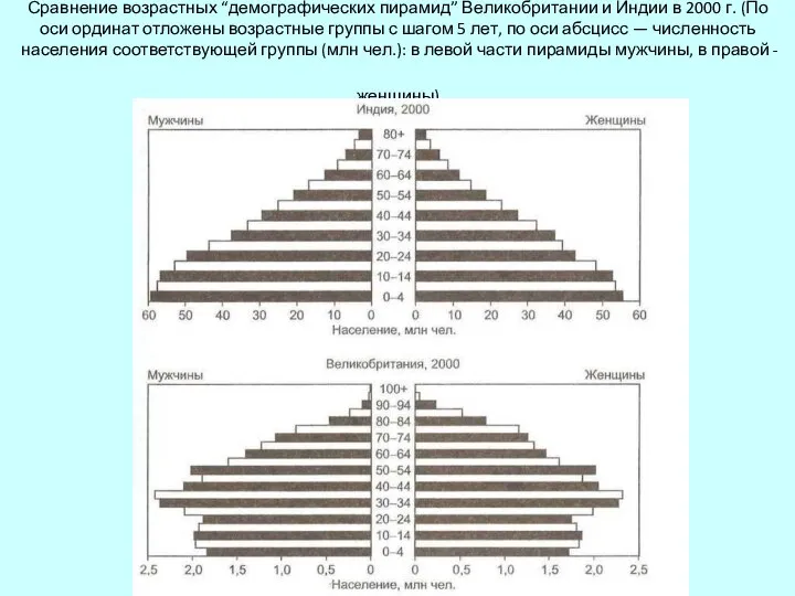 Сравнение возрастных “демографических пирамид” Великобритании и Индии в 2000 г. (По
