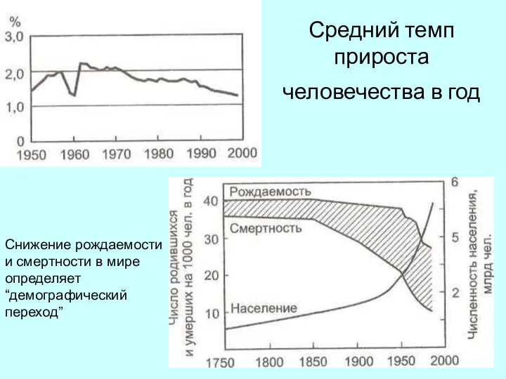 Средний темп прироста человечества в год Снижение рождаемости и смертности в мире определяет “демографический переход”