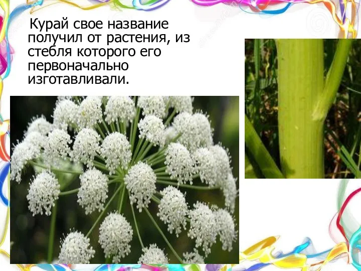 Курай свое название получил от растения, из стебля которого его первоначально изготавливали.