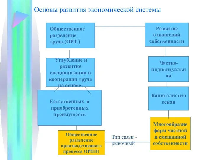 Основы развития экономической системы Углубление и развитие специализации и кооперации труда