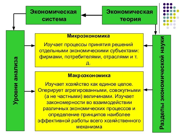 Экономическая теория Экономическая система Уровни анализа Разделы экономической науки Микроэкономика Изучает