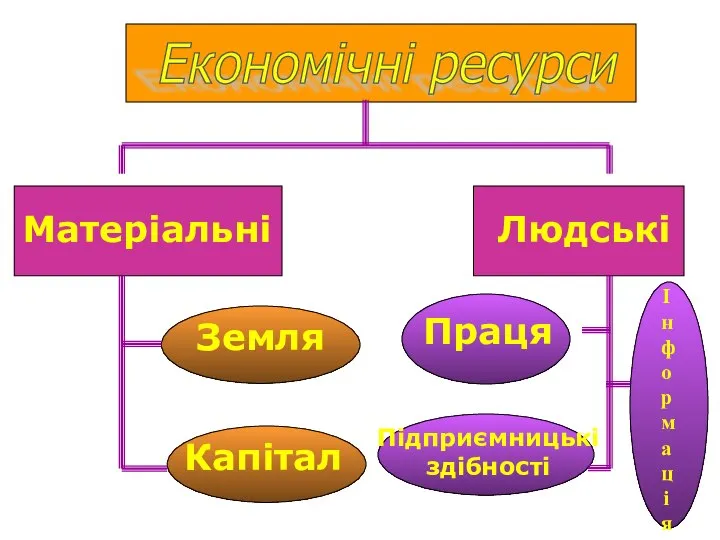 Матеріальні Людські Земля Капітал Праця Підприємницькі здібності Економічні ресурси Інформація