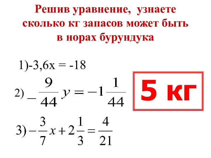 Решив уравнение, узнаете сколько кг запасов может быть в норах бурундука