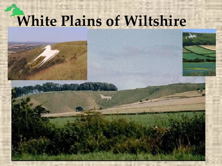 White Plains of Wiltshire