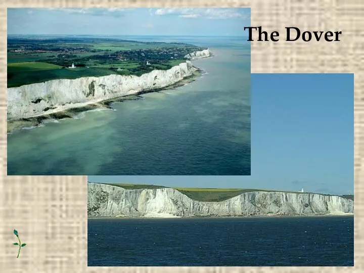 The Dover