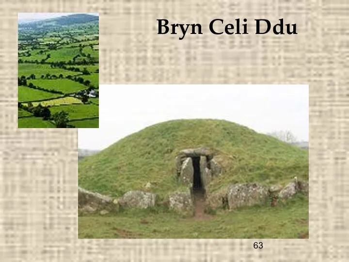 Bryn Celi Ddu