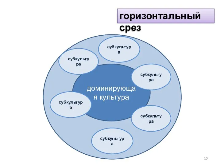 горизонтальный срез доминирующая культура субкультура субкультура субкультура субкультура субкультура субкультура