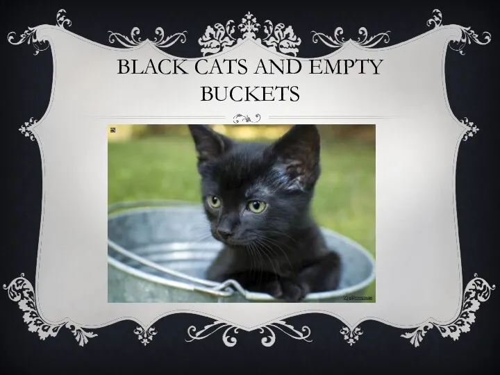 BLACK CATS AND EMPTY BUCKETS