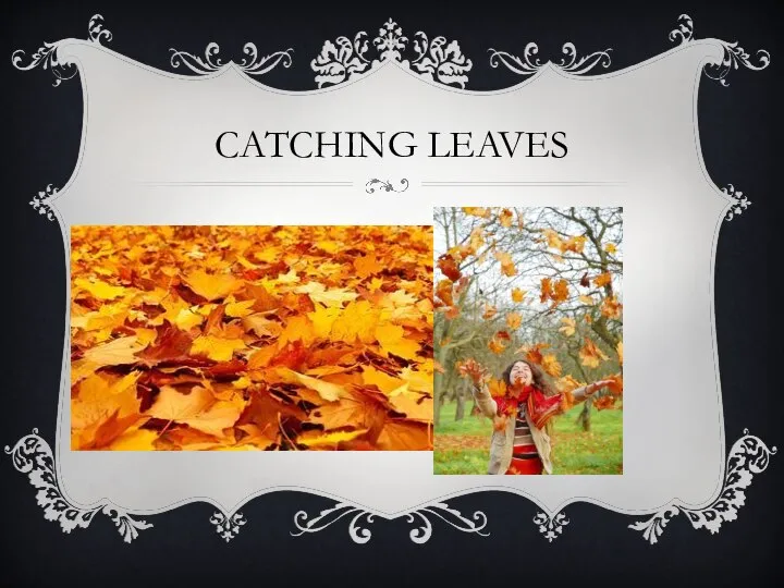 CATCHING LEAVES
