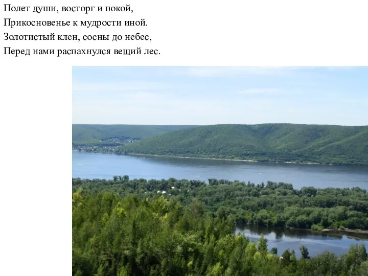 Полет души, восторг и покой, Прикосновенье к мудрости иной. Золотистый клен,