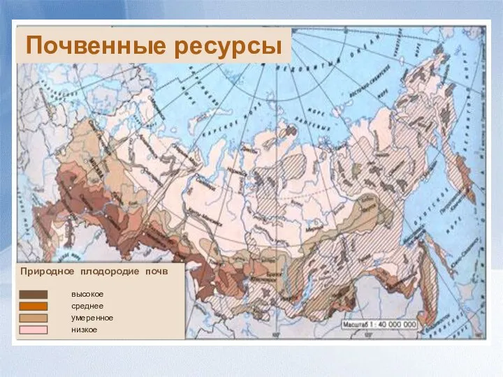 Почвенные ресурсы Природное плодородие почв высокое среднее умеренное низкое