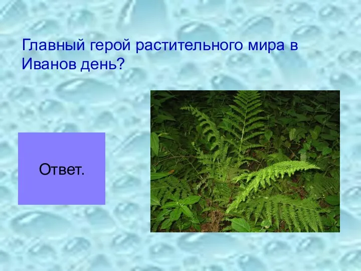 Главный герой растительного мира в Иванов день? Ответ.