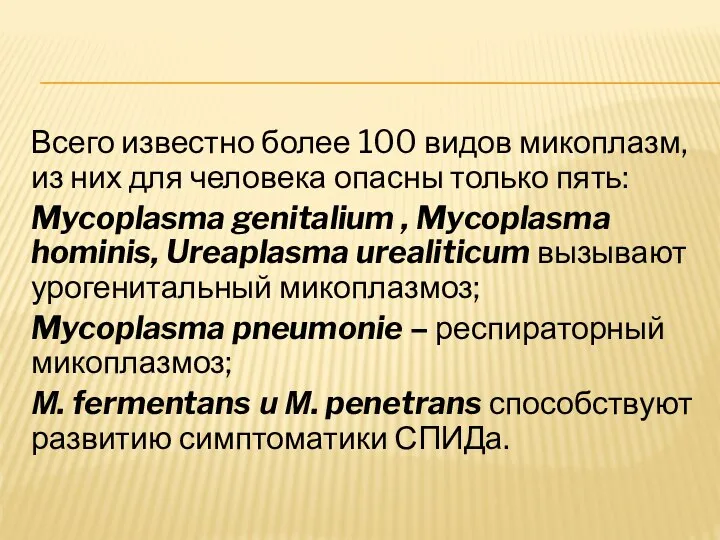 Всего известно более 100 видов микоплазм, из них для человека опасны