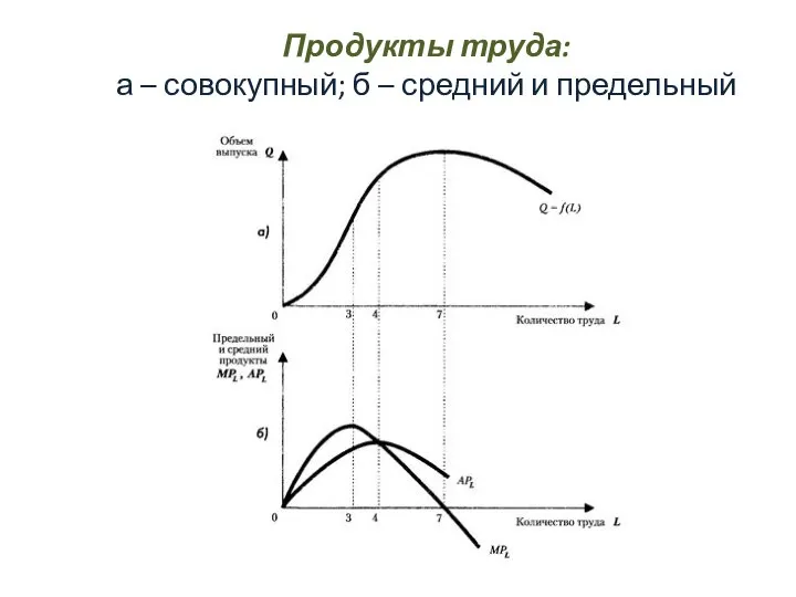 Продукты труда: а – совокупный; б – средний и предельный