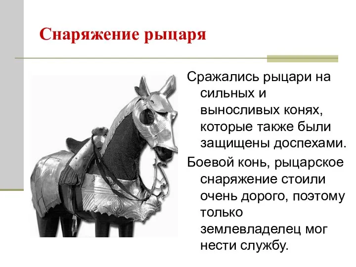 Сражались рыцари на сильных и выносливых конях, которые также были защищены