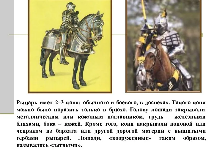 Рыцарь имел 2–3 коня: обычного и боевого, в доспехах. Такого коня